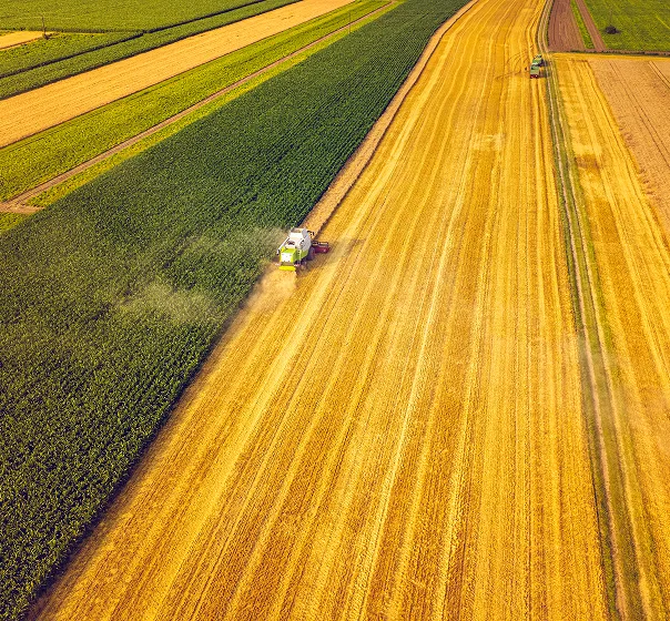 Sites agricoles